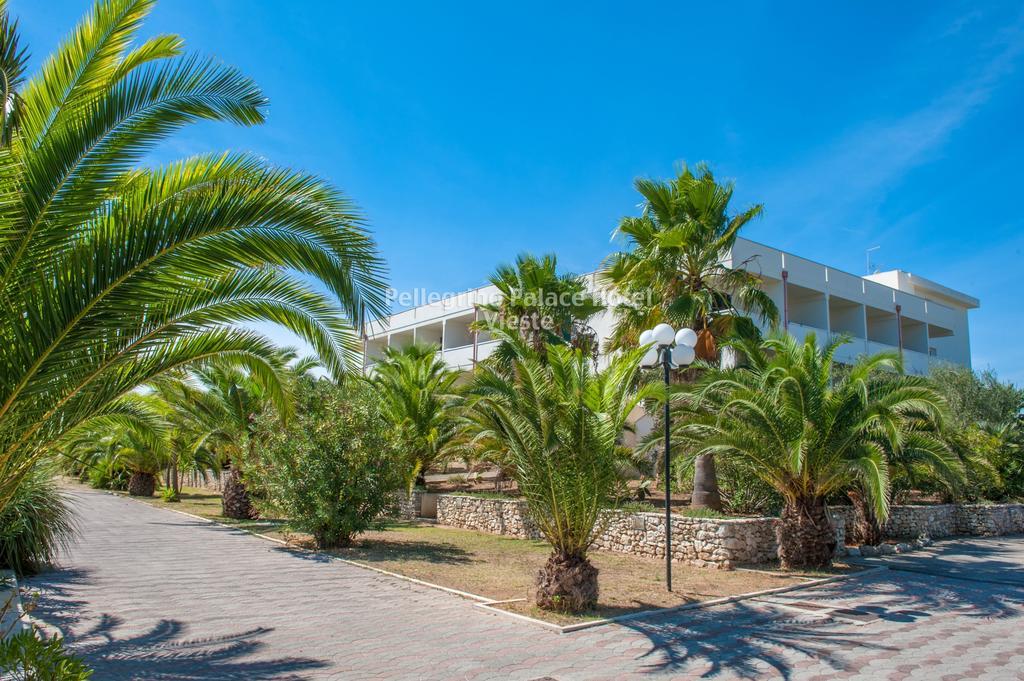 Pellegrino Palace Hotel Vieste Buitenkant foto
